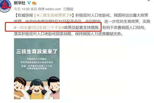 离婚后三个哥哥独宠我（80集）