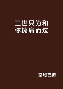 与你擦肩而过（80集）