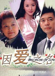 女帝的贴身总管（90集），权力与情感的交织