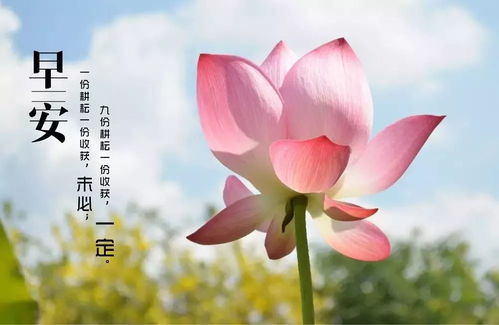 次第花开（50集），绽放的生命与心灵的觉醒