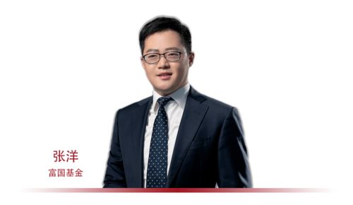张锋幸福生活（100集）——平凡中的不平凡故事
