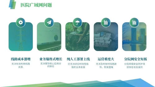 逍遥医皇（第104集），李明珠的医术与人生智慧