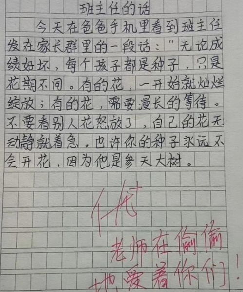 网友在河南云台山偶遇汪涵，一次意外的邂逅与文化的碰撞