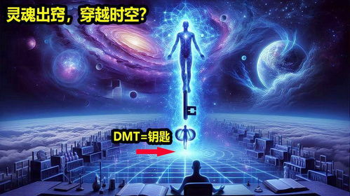羽翼天下，一部跨越时空的史诗（89集）