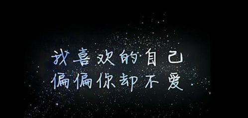 我在无人处寻你（80集）