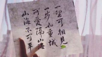 所爱隔山海，严雯丽的情感之旅（73集深度解析）