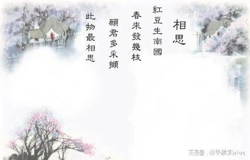 相思不似相识——一部深情厚意的传世之作（101集）