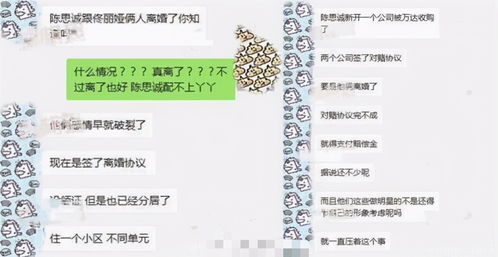 新版离婚后，我成了亿万女王（90集）