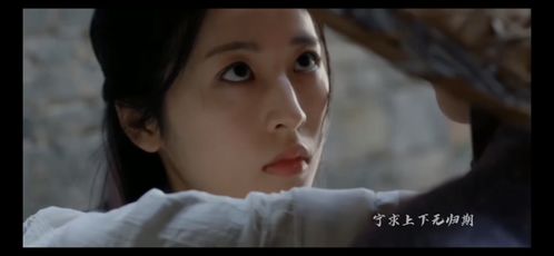 炮灰逆袭之路，奸臣也折腰（共92集）