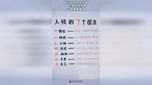 无法原谅，深度探究人性中的矛盾与冲突