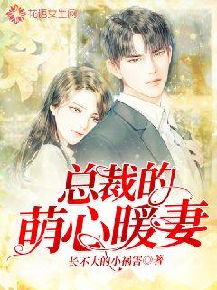天降极品豪婿，豪门世界的爱情与权力博弈