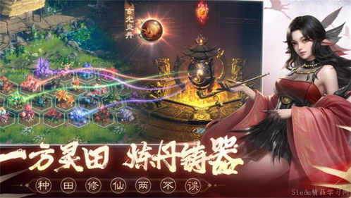 仙婿狂飙，跨越凡尘的传奇之旅