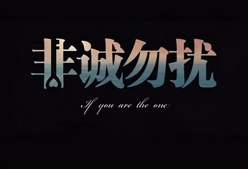 浩子，从不诚勿扰灭灯开始到出道之路的坎坷与成长（共81集）