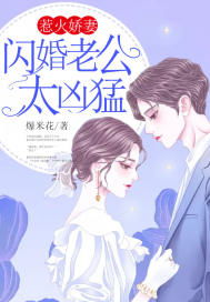 闪婚大叔超棒超宠超猛的（一）至（九十章）剧情概述