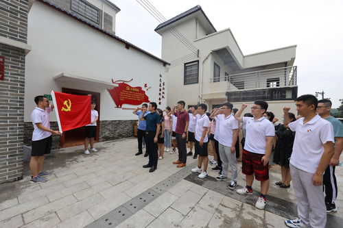 总裁上位记，杨晓萱的80集奋斗史
