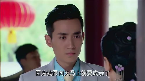 我以新婚辞旧情（92集）