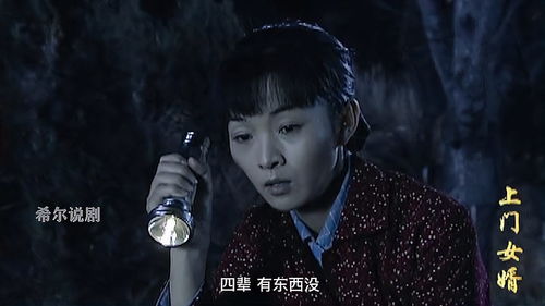 上门傻婿