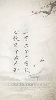 山有木兮木不知，冯冯与93集的故事
