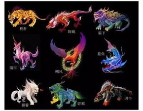 龙御四海，古老传说中的力量象征与文化解读