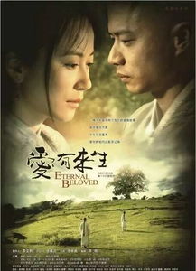 如果爱有来生，百集深情演绎