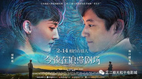 特工夫妇，隐秘战线上的爱情传奇（82集深度解析）