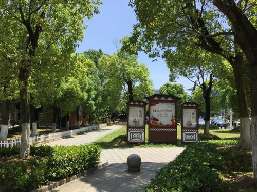 我的祖先是条蛇第101集深度解析与体验分享