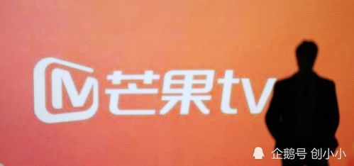李子柒持股四川子柒文化99%股权，深度解析背后的故事