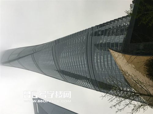 沈总别装了，你夫人也是大佬（第86集）