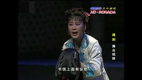 天上掉下个驸马爷