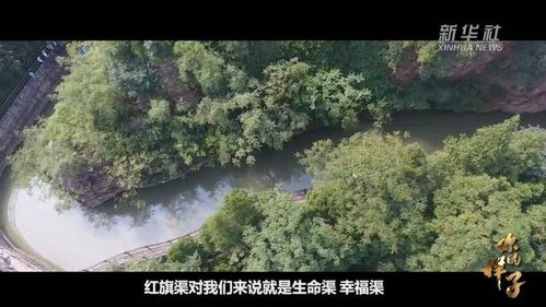 我在娱乐圈跟霸总隐婚（一）至（一百集）全记录