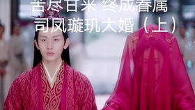 夫人在上少帅知错了长篇全集，权力与情感的交织
