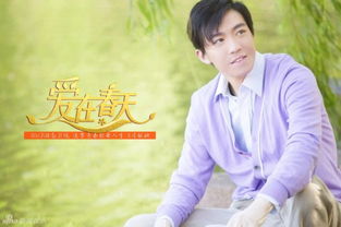 新版电视剧爱你不问归期，深情与执着的百集演绎