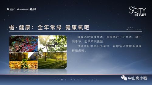迷雾山庄，迷雾中的她（72集）深度解析与感悟