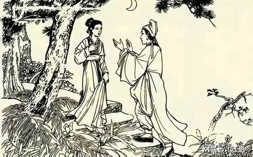 君子报恩十年太晚，杨景景的传奇故事（79集）