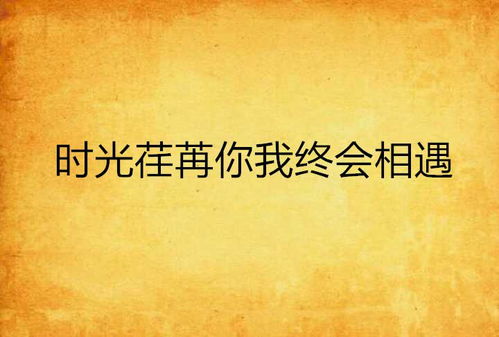终会遇见你（66集）