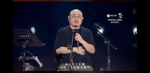 刀郎演唱会火爆遭音乐人陈伟抨击，音乐界的热议与反思
