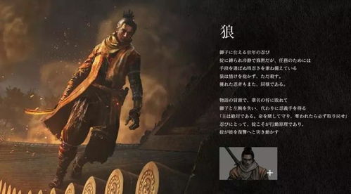 老炮儿之隐狼，深度解读一部跨越时代的传奇（71集）
