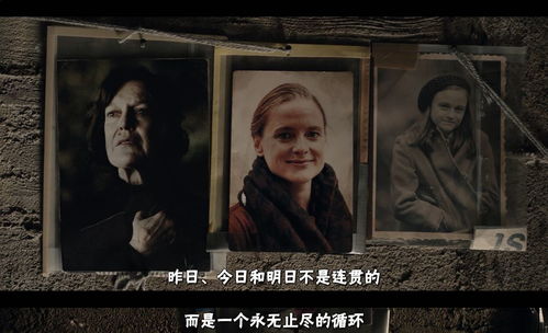 无上帝婿，揭秘百集神剧的魅力之源