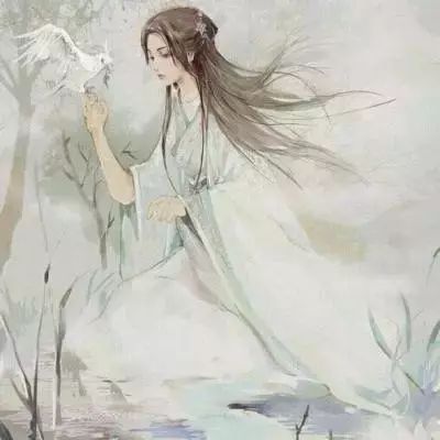 山有木兮木不知——冯冯的93集故事