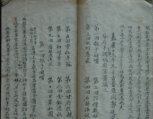 狂狷医妃（73集），朱一末的医术与人生风采