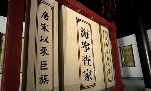 跨世小神医（100集），传统医术与现代智慧的交融