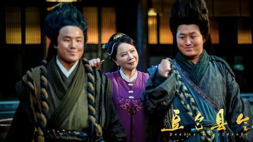 最强帝师县令，权力与智慧的交织（100集深度解析）