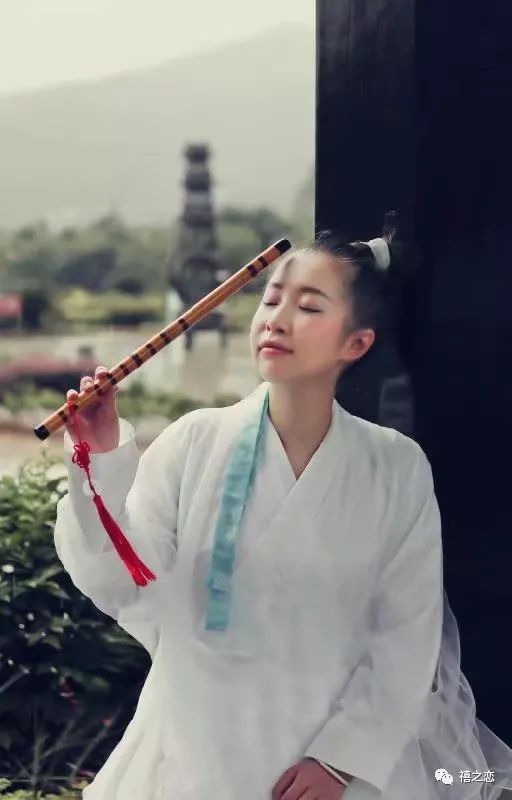 与凤行之女状元（25集），苏寰的传奇之旅