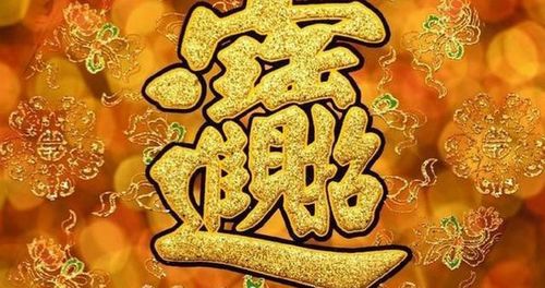 财神降临之我能看到回报率（94集）