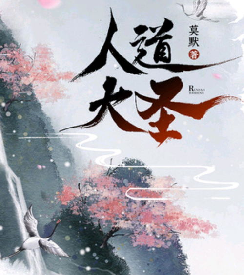 巅峰赘婿，权力与智慧的交织