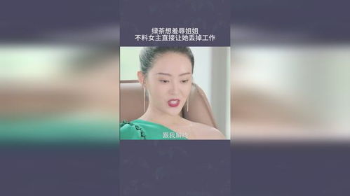 女主她一心只想搞事业（100集）