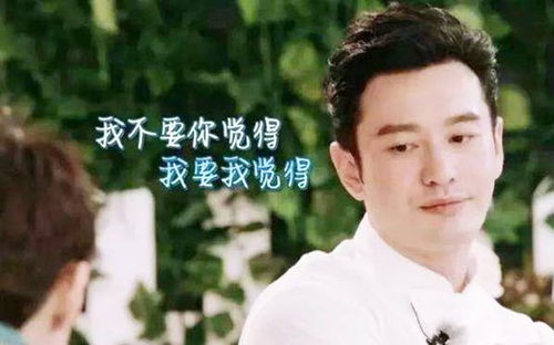 樊登，理解黄晓明的委屈