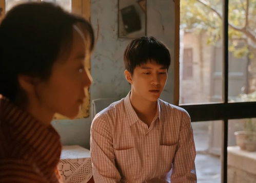 网友心中的小巷人家演员演技排名，深度解析角色塑造与表演魅力