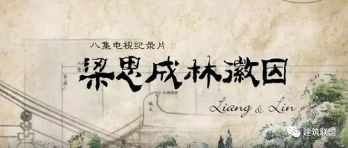 我是苏晓薇与程琳淼，一段交织的命运（共82集）