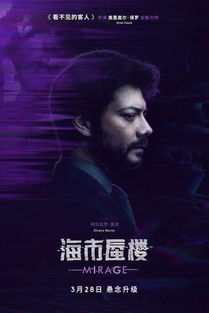 消失的妻子，命运与真相的交织（80集剧情大纲）